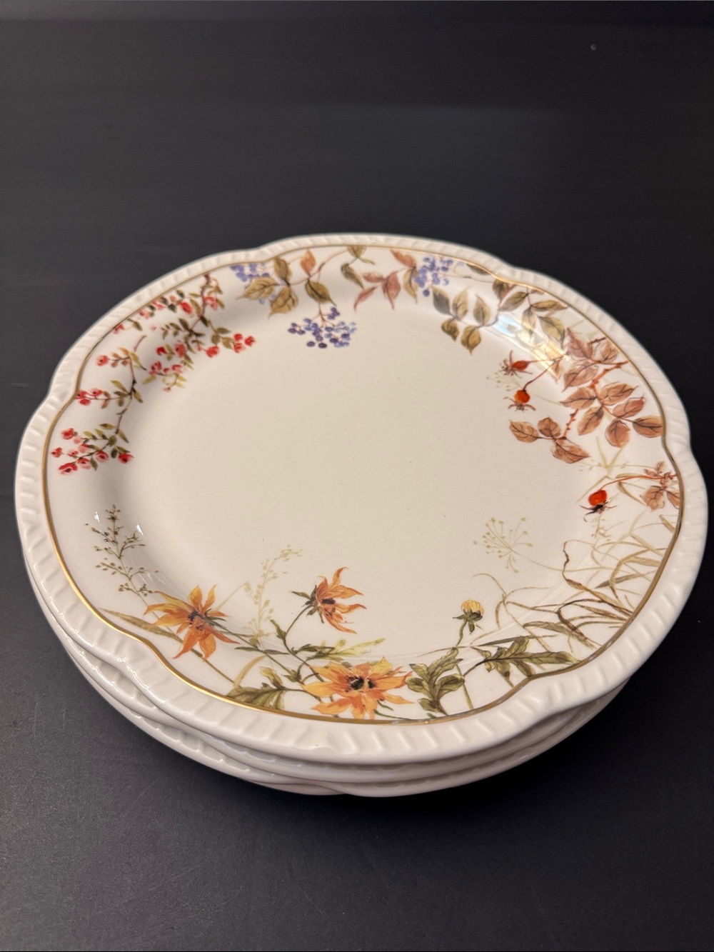 NWOT 4pc Potter's Studio Scalloped Stoneware Fall Leaves Trim Dinner Plates - Picture 2 of 9
